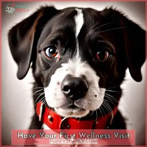 Have Your First Wellness Visit