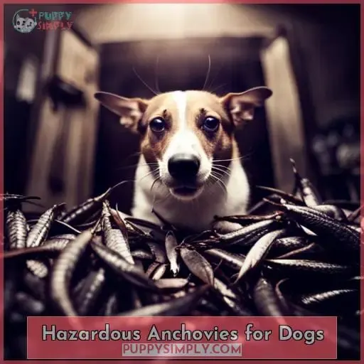 Hazardous Anchovies for Dogs