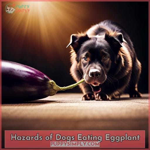 Hazards of Dogs Eating Eggplant