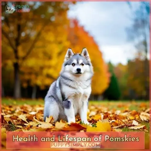 Health and Lifespan of Pomskies
