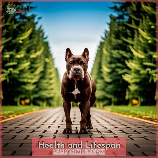 Health and Lifespan Health and Lifespan