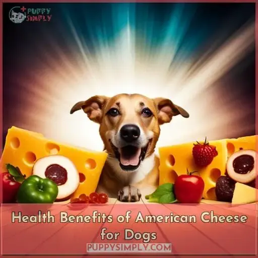 Health Benefits of American Cheese for Dogs