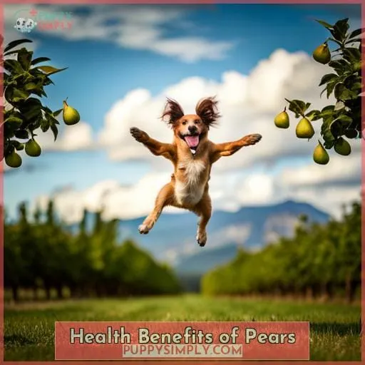 Health Benefits of Pears