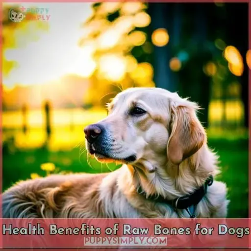 Health Benefits of Raw Bones for Dogs