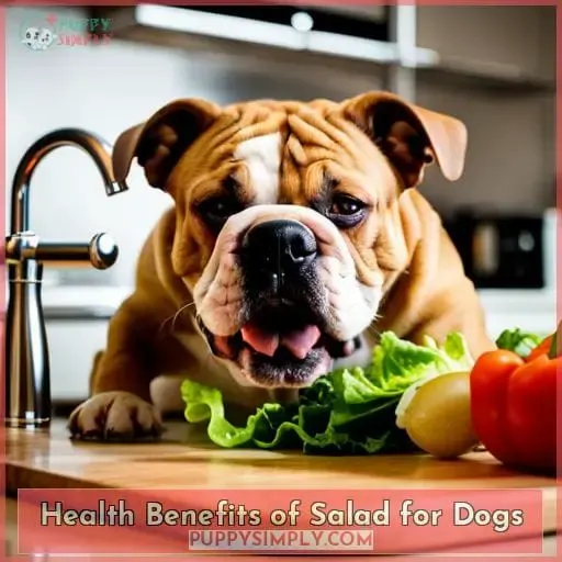 Health Benefits of Salad for Dogs