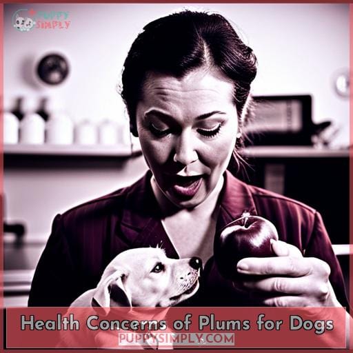 Health Concerns of Plums for Dogs