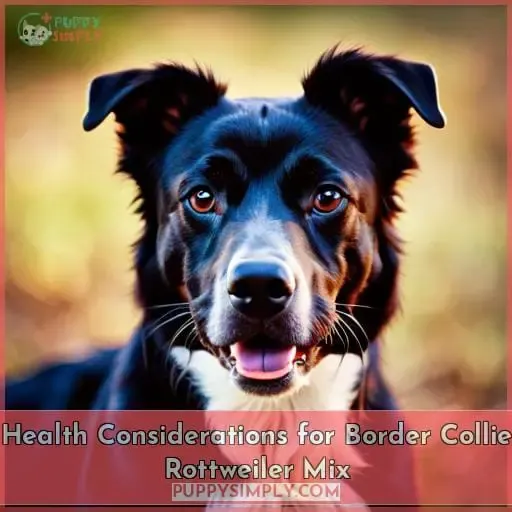 Health Considerations for Border Collie Rottweiler Mix