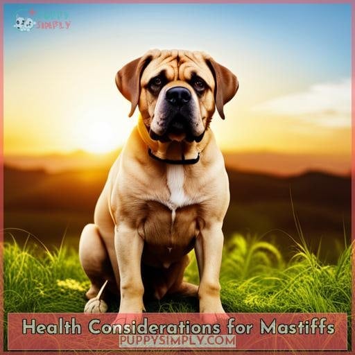 Health Considerations for Mastiffs