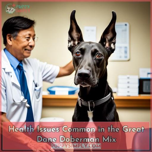 Health Issues Common in the Great Dane Doberman Mix