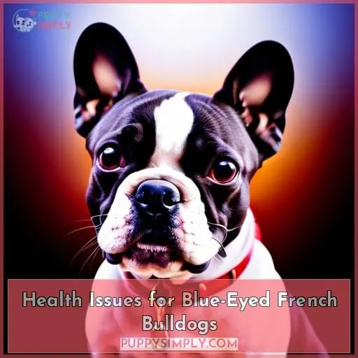 Health Issues for Blue-Eyed French Bulldogs
