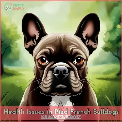 Health Issues in Pied French Bulldogs