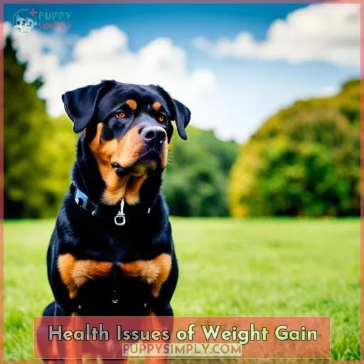 Health Issues of Weight Gain