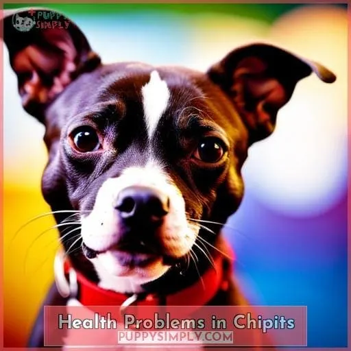 Health Problems in Chipits