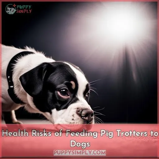 Health Risks of Feeding Pig Trotters to Dogs