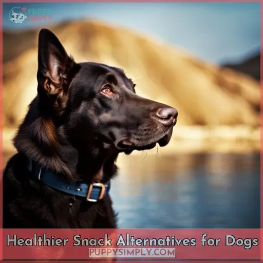 Healthier Snack Alternatives for Dogs