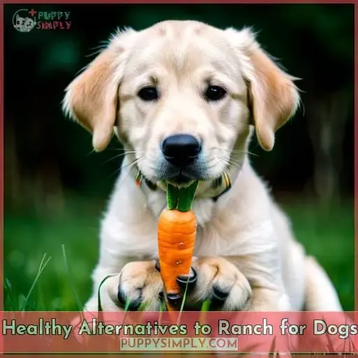 Healthy Alternatives to Ranch for Dogs