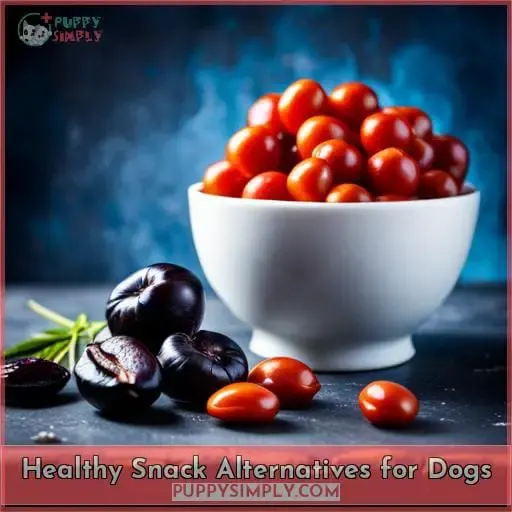 Healthy Snack Alternatives for Dogs