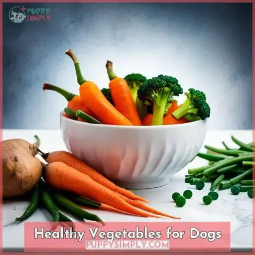 Healthy Vegetables for Dogs