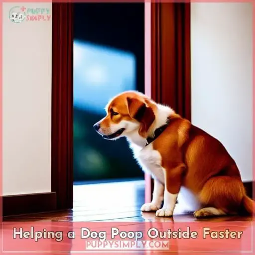 Helping a Dog Poop Outside Faster