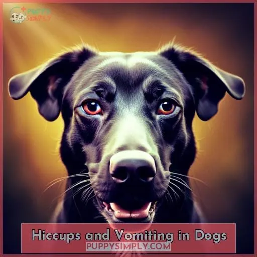Hiccups and Vomiting in Dogs