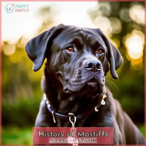 History of Mastiffs