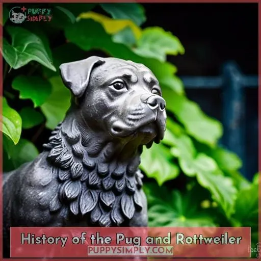History of the Pug and Rottweiler