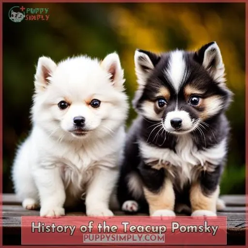 History of the Teacup Pomsky