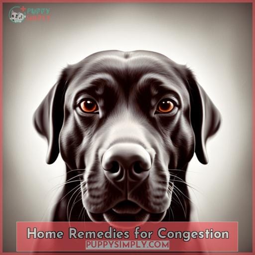 Home Remedies for Congestion