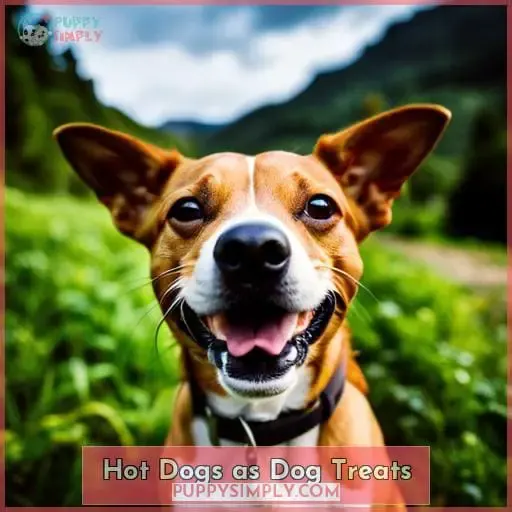 Hot Dogs as Dog Treats