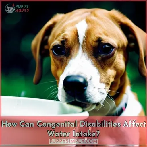 How Can Congenital Disabilities Affect Water Intake?