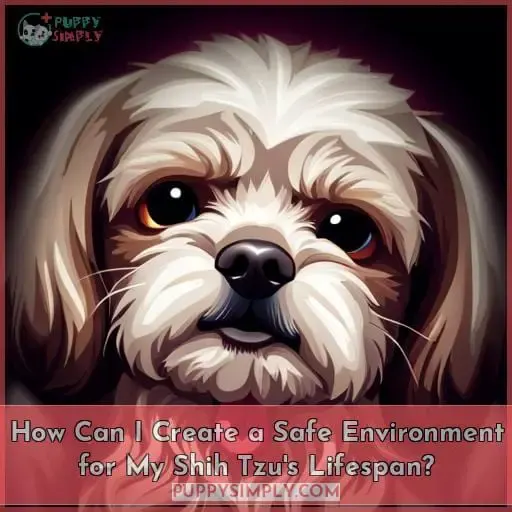 How Can I Create a Safe Environment for My Shih Tzu