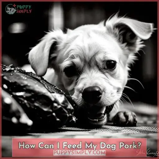 How Can I Feed My Dog Pork?