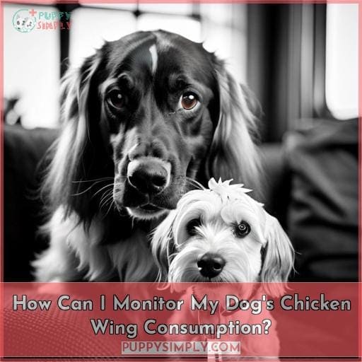 How Can I Monitor My Dog's Chicken Wing Consumption? How Can I Monitor My Dog's Chicken Wing Consumption?