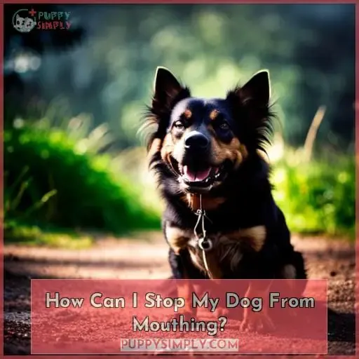 How Can I Stop My Dog From Mouthing?