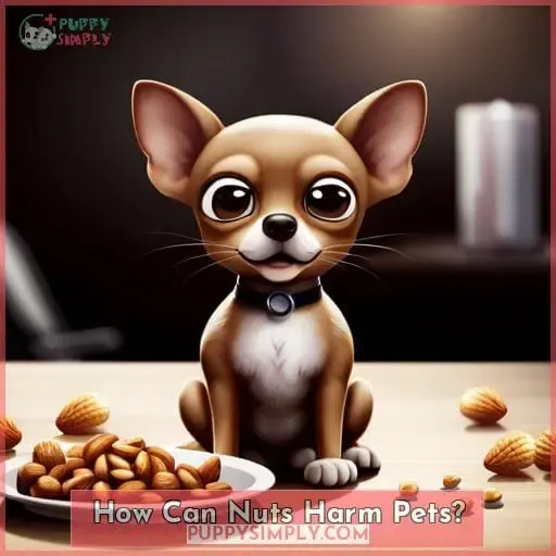 How Can Nuts Harm Pets