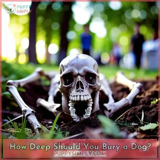 How Deep Should You Bury a Dog?
