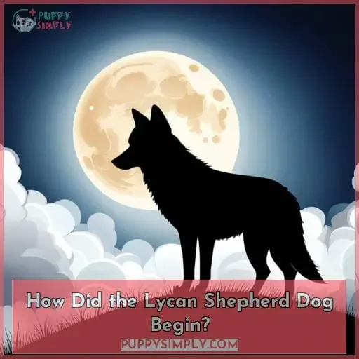 How Did the Lycan Shepherd Dog Begin