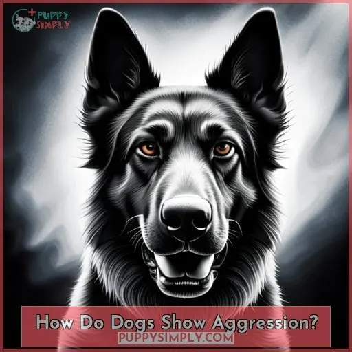 How Do Dogs Show Aggression?