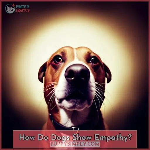 How Do Dogs Show Empathy?