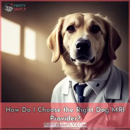 How Do I Choose the Right Dog MRI Provider?