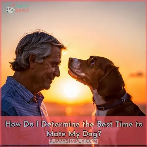 How Do I Determine the Best Time to Mate My Dog?