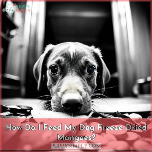 How Do I Feed My Dog Freeze Dried Mangoes?