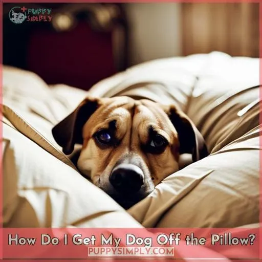 How Do I Get My Dog Off the Pillow?