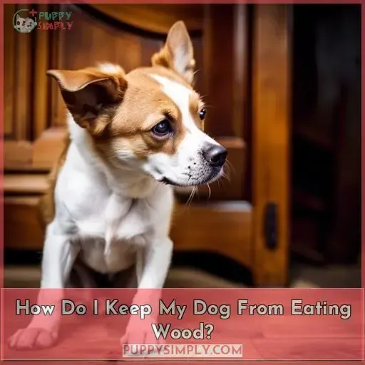 How Do I Keep My Dog From Eating Wood