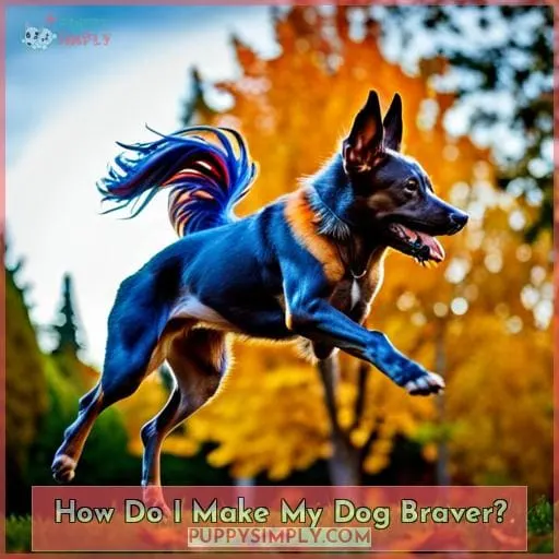 How Do I Make My Dog Braver?