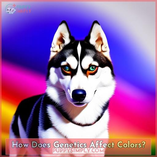 How Does Genetics Affect Colors?