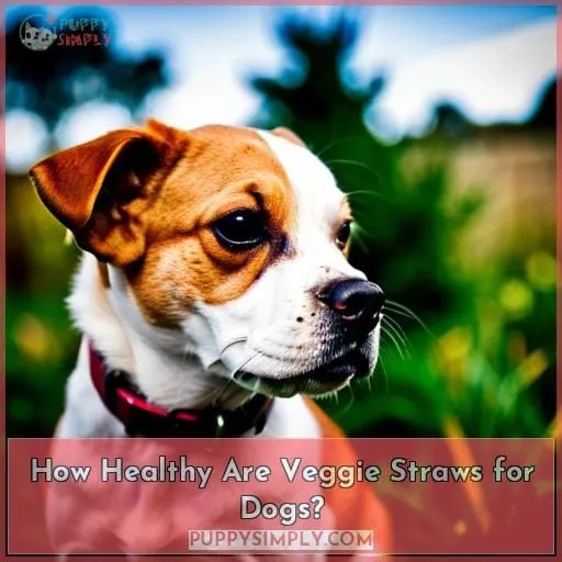 How Healthy Are Veggie Straws for Dogs?