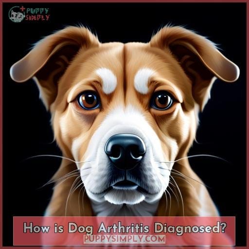 How is Dog Arthritis Diagnosed?