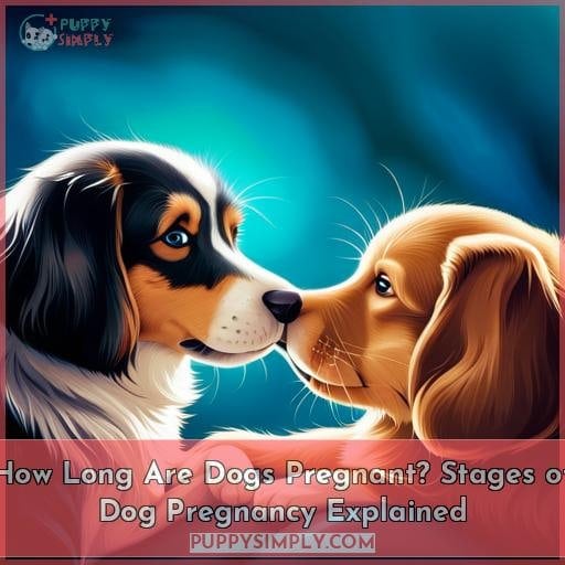 How Long Are Dogs Pregnant? Stages of Dog Pregnancy Explained