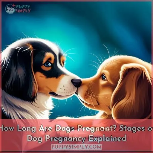 how long are dogs pregnant gestation stages